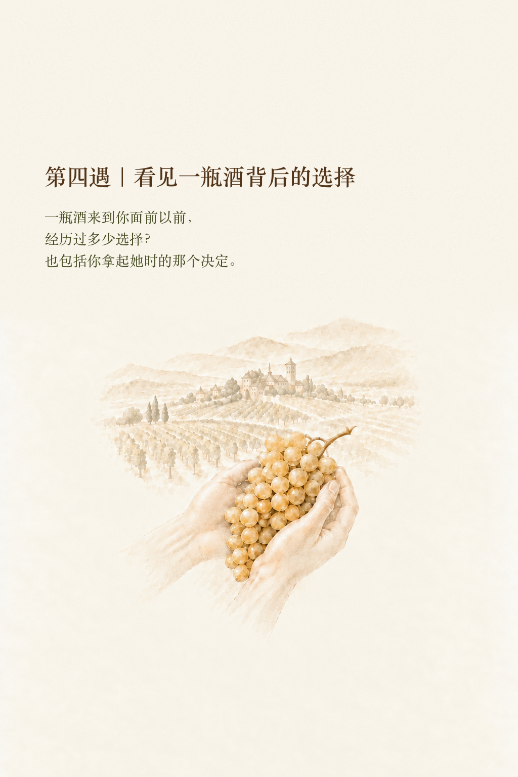 第四遇:看见一瓶酒背后的选择